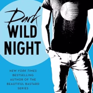 Dark Wild Night (3) (Wild Seasons)