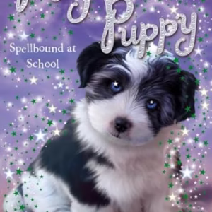 Spellbound at School 11 Magic