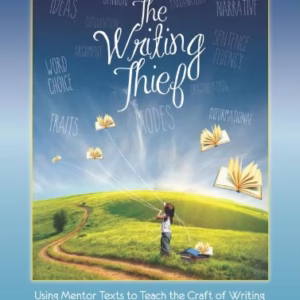 The Writing Thief Using Mentor