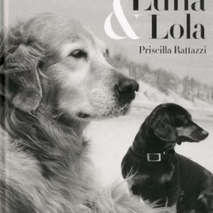 Water's Edge [first edition]
